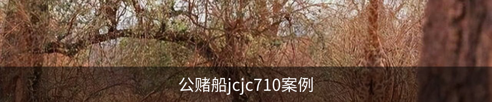 公赌船jcjc710案例